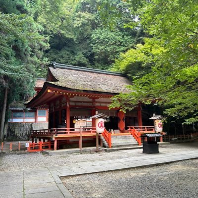 44_mfastball's profile picture. 怪奇！実力のある投手から順に中継ぎになるゲイジ球団！