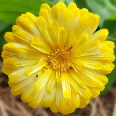 NovaTeraFort's profile picture. YouTube: https://t.co/51LzuNMEWy
Bandcamp: https://t.co/BAIxvezAfv

Support Theandria:
bc1q2468xlh95zte9rgkcx3tkkpq0p