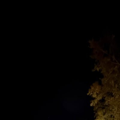 Iluv_paperclips's profile picture. 