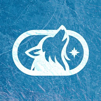 TheWolvesTalk's profile picture. 🐺🇫🇷 French account about the Minnesota  @Timberwolves • News & Podcast #WolvesNation https://t.co/BUHnJTCAHy