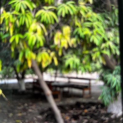 Tooty1549145's profile picture. 