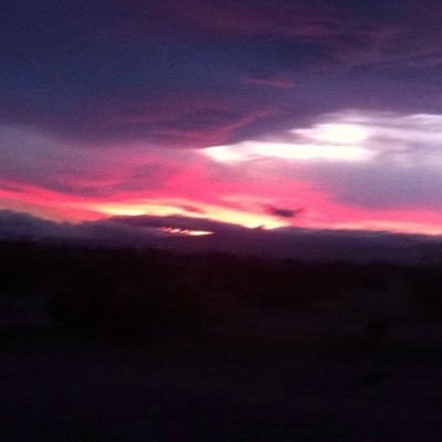 Rockymtn30's profile picture. LA Dodgers Fan⚾️💙