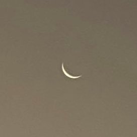 maylagrm's profile picture. 