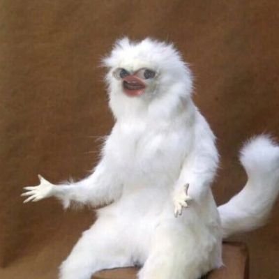 jesseyagmur's profile picture. slay görl 💅🏻💅🏻