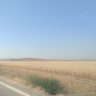 SefaGunduzDev's profile picture. Software Developer