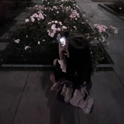 4ll_fx's profile picture. 17歳♡