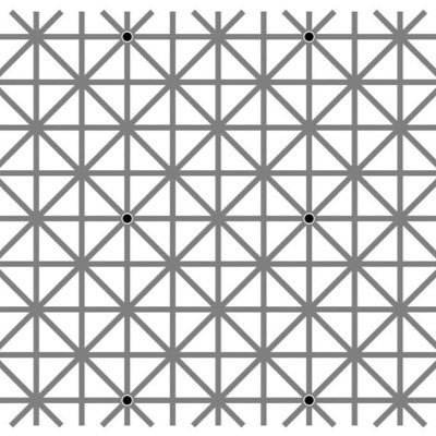 MarmotH3av3n's profile picture. イキのいい猫を集めてます。基本的人権を尊重していきたい。