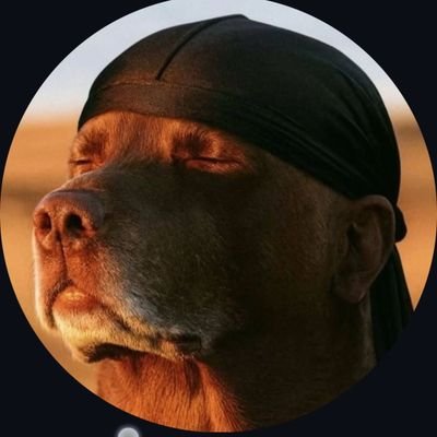 OshM3's profile picture. || Ethical Homewrecker ||
4 Cars 🔰 0 Friends ❌ ||