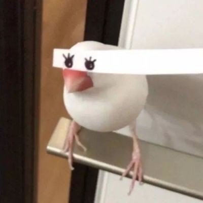 pupupa09's profile picture. 漫游地球🌍🪜 https://t.co/5bisipVEXH