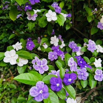 RoyalDPeete's profile picture. Proud mom ❤️😍