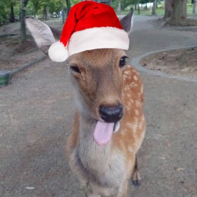 prettib4be's profile picture. deer enthusiast | 19 | @prettipt2