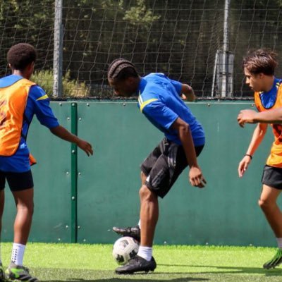 sxfale's profile picture. 