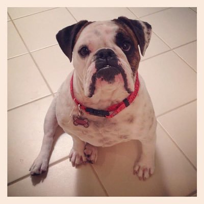 EllaLeary6616's profile picture. 