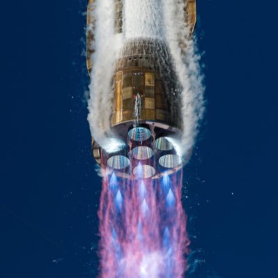 sen_mu81243's profile picture. 