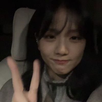 cloudxssss's profile picture. jisoo and jennie collector 🤍
  (#지수 prio)