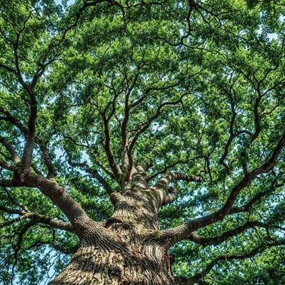 xavii__001's profile picture. ALWAYS THANK GOD