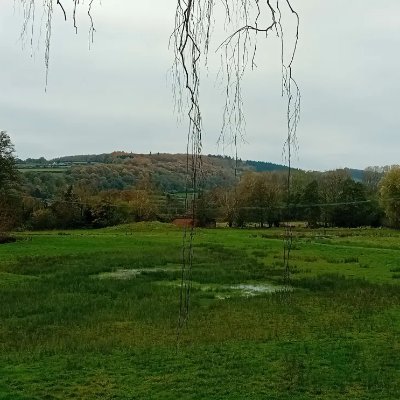 B7RLEstour's profile picture. @StourbridgeFC and @LFC fan, non league enjoyer | Politics nerd, @LibDems member | Bit of a transport enthusiast | 16