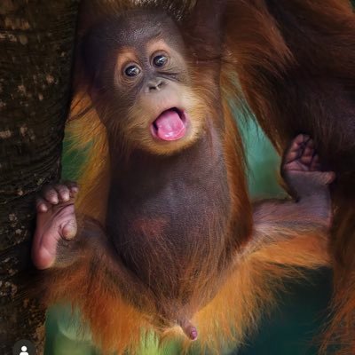 delabangbro's profile picture. pre-rich unapologetic trencher