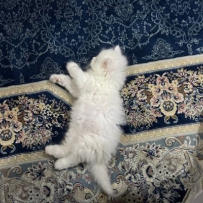 elmnm1's profile picture. Wherever life places you ,Shine