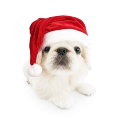 cafe_moretto's profile picture. ₊𖥔! ׄ໑୧ ׅ 14x grammy winner taylor swift ⟡ ׅ𖥔ׄ