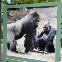 じじぃ (@hizono2000) 's Twitter Profile Photo