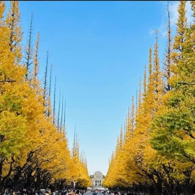 ZxbLxYNUrn9021's profile picture. 最近お別れしたので都内で探しています。