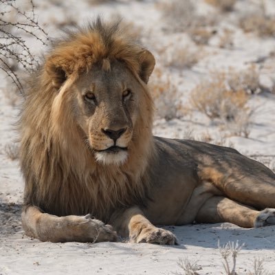 stefan_jug51491's profile picture. 