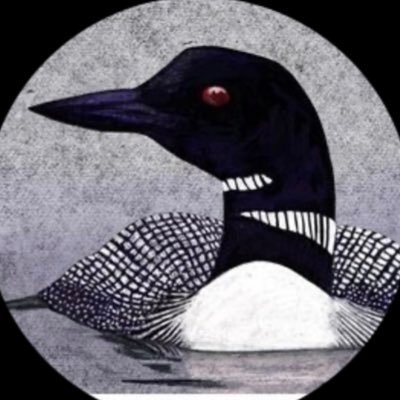 beccabloom88's profile picture. 