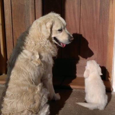 marivi0608's profile picture. 