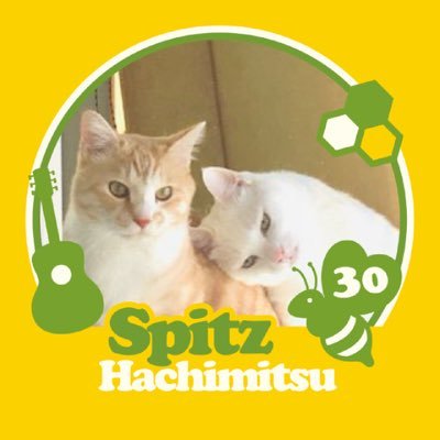 tama_aoi_3373's profile picture. スピッツ/保護猫2匹/自然が好き