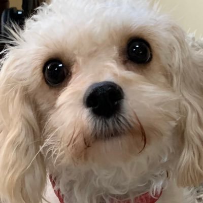 ebalaqueen's profile picture. 