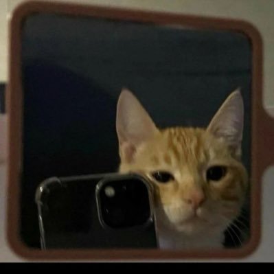 saaanaa002's profile picture. ♥️