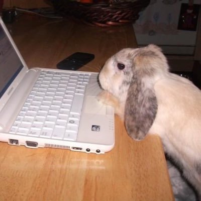 bnniestt's profile picture. sleepiest girl