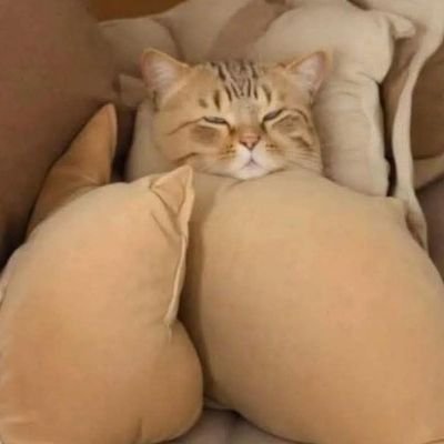 llyboxx's profile picture. Porcinos FC - Rōnin FC