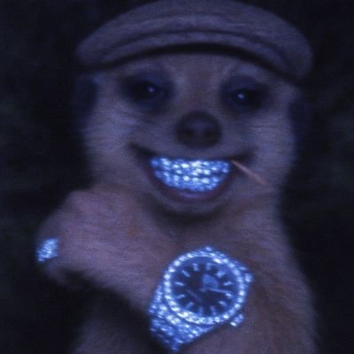 Motion17's profile picture. Full-time vibes, part-time sense