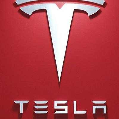 StaySigBros's profile picture. Tesla Vision Initiative 2025