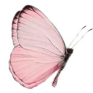 newliance's profile picture. for tbz & xlov