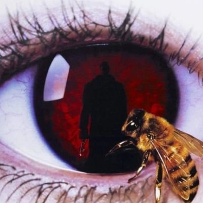 CandyMann678's profile picture. EMBRACE THE UNIVERSE ACCEPT IN THY KARMA