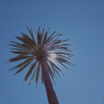 nico26312220's profile picture. 