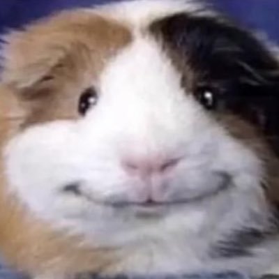 plasticswingset's profile picture. me was born this way, i love you sweet lu