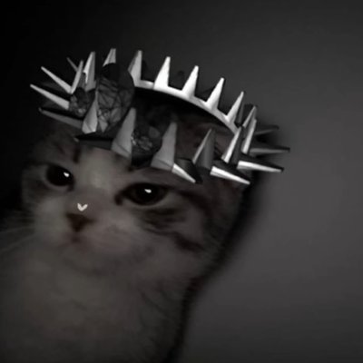 cirtually's profile picture. I JUST started trading.