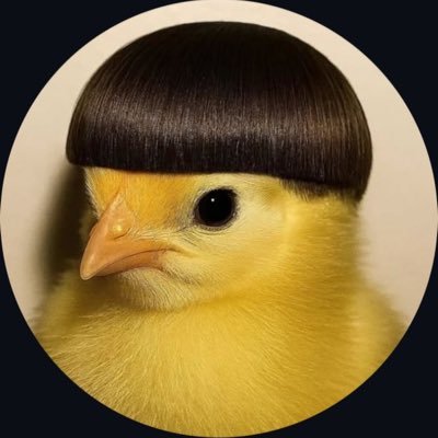 PensML's profile picture. Penguins Obviously