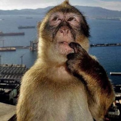 keepits56580141's profile picture. 