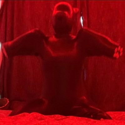 RubberMischief's profile picture. N+ Kink3D Viper Cage, recon @RubberMischief