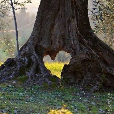 ec0maniac's profile picture. living vicariously through myself