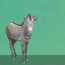 xnomoretearsx's profile picture. 