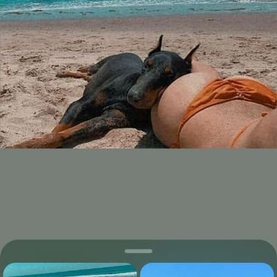 davwet95471's profile picture. 🔞Wild taboos✌️Channel Subscription & Mega Dropbox packages avail 📩