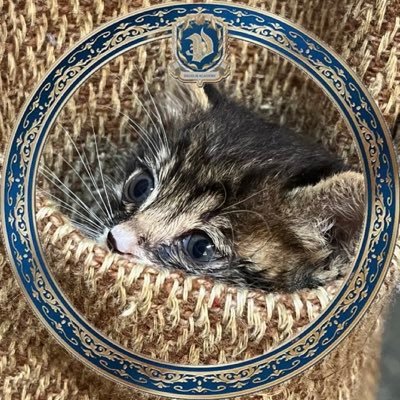 Takotako_NI_KI's profile picture. 盲目닠프 NI-KI♥️SUNKI♥️WONKI♥️형제즈