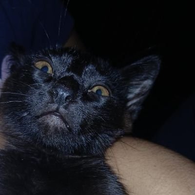 Maduzynha55's profile picture. vai Corinthians 😝
mclaren 🧡
🏁🏎️🏎️