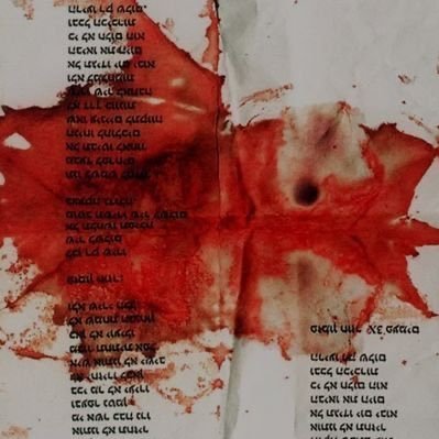 DonoSeba's profile picture. crypto views and news